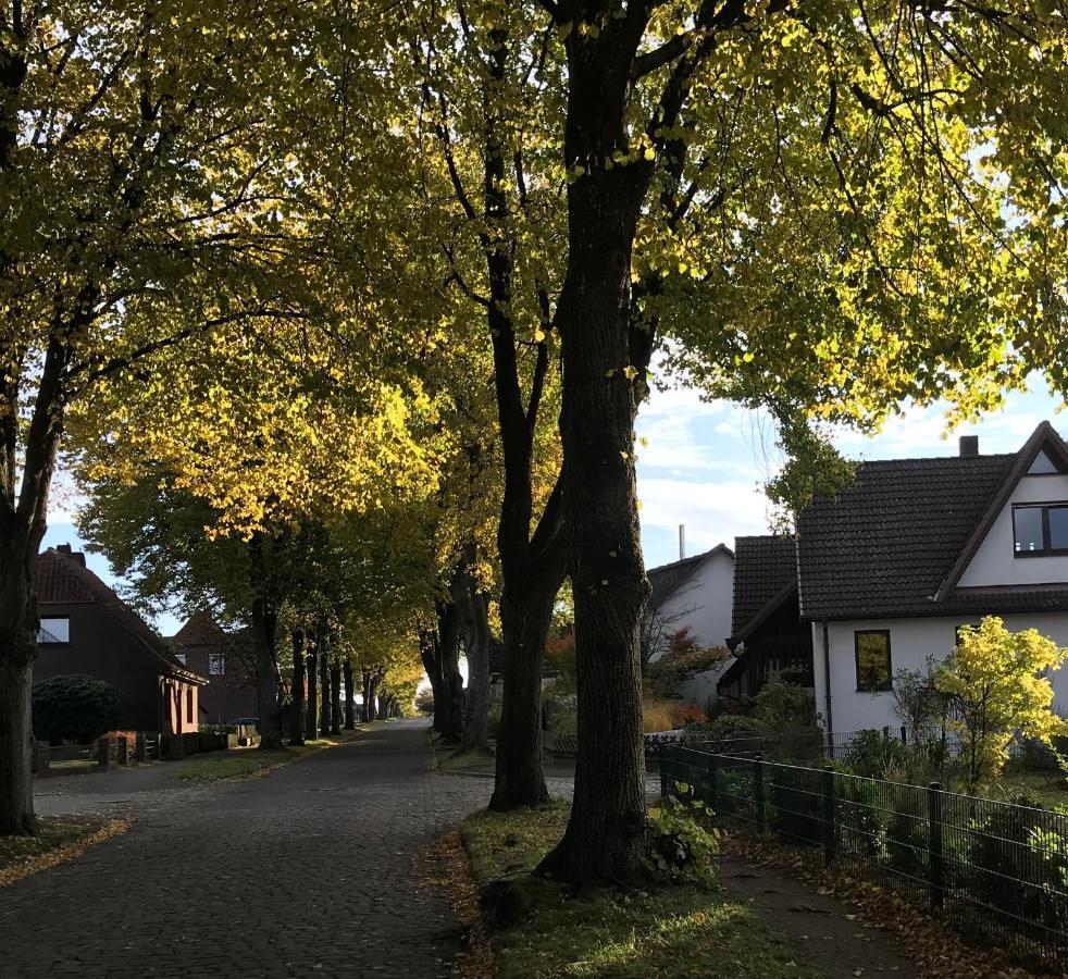 Ferienwohnung Am Holzfeld Schneverdingen Exterior photo